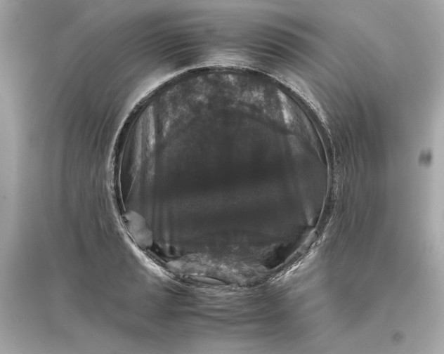 X0000094821037200711301625