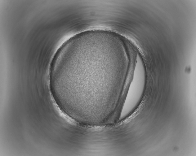 X0000094821038200711301625