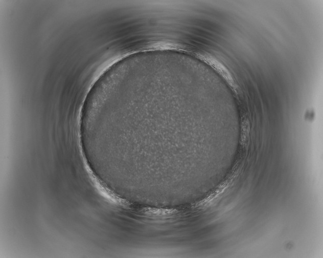 X0000094821039200711301625