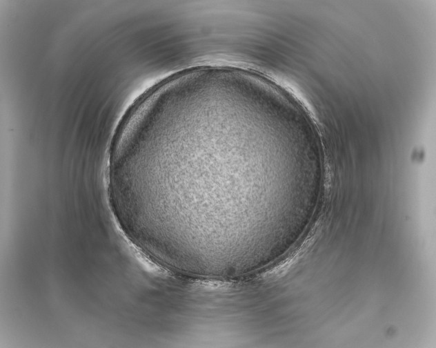 X0000094821040200711301625