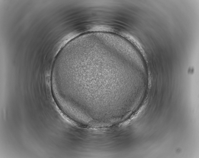 X0000094821041200711301625