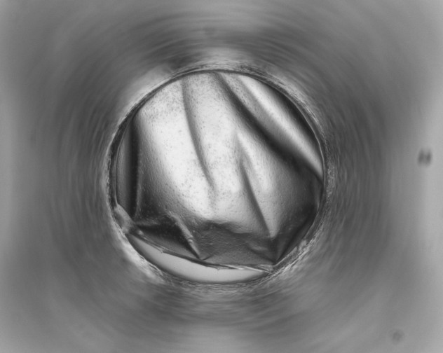 X0000094821042200711301625