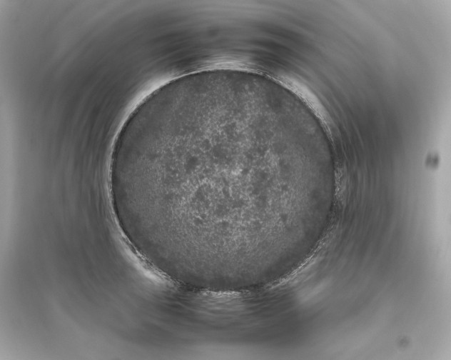 X0000094821043200711301625