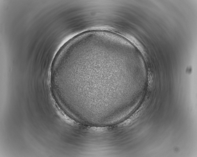 X0000094821044200711301625