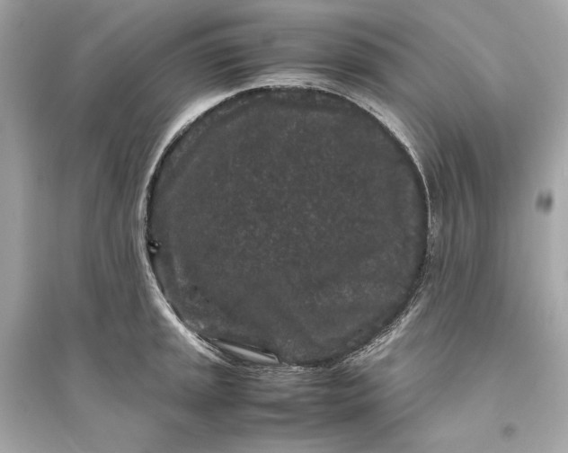 X0000094821045200711301625