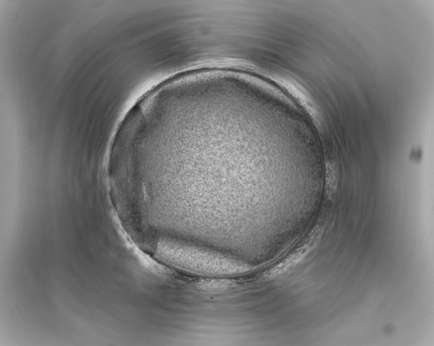 X0000094821046200711301625