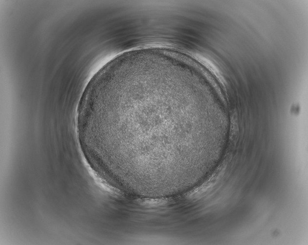 X0000094821047200711301625