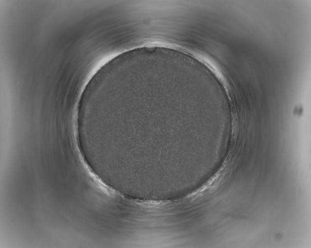 X0000094821048200711301625