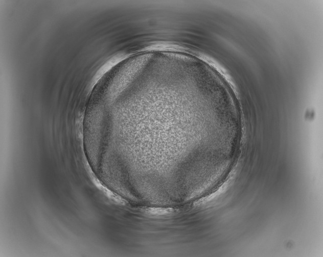 X0000094821049200711301625