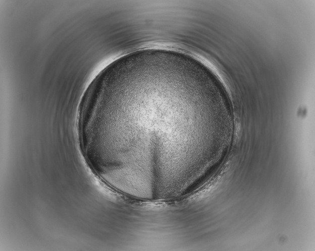 X0000094821050200711301625