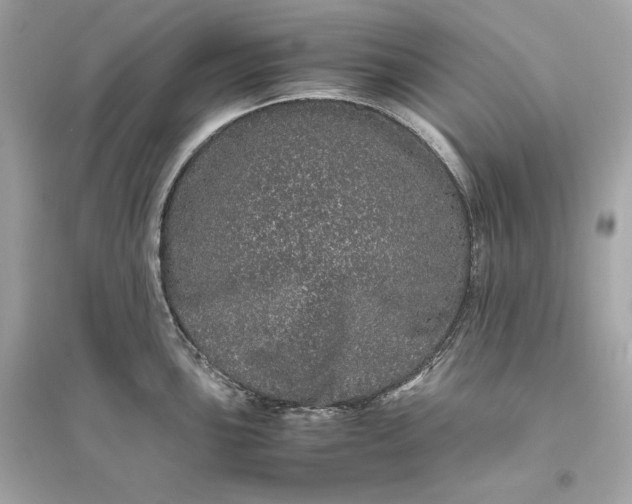 X0000094821051200711301625