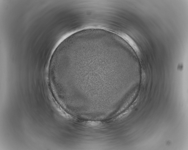 X0000094821052200711301625