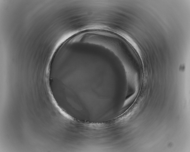 X0000094821053200711301625