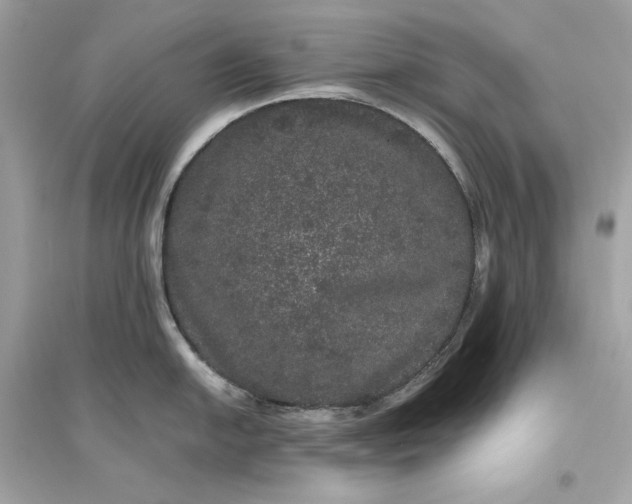 X0000094821054200711301625