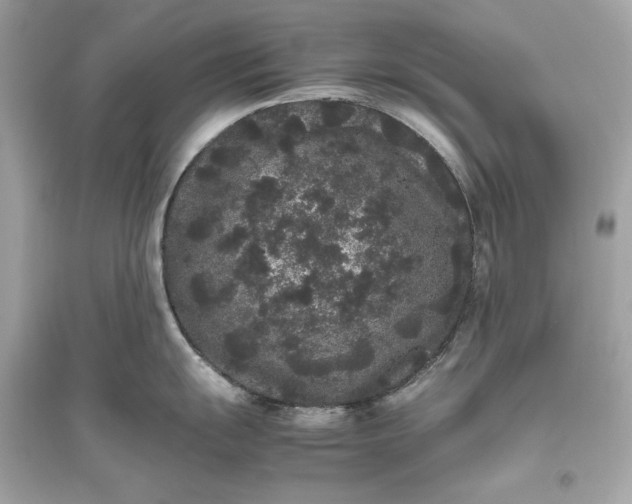 X0000094821055200711301625