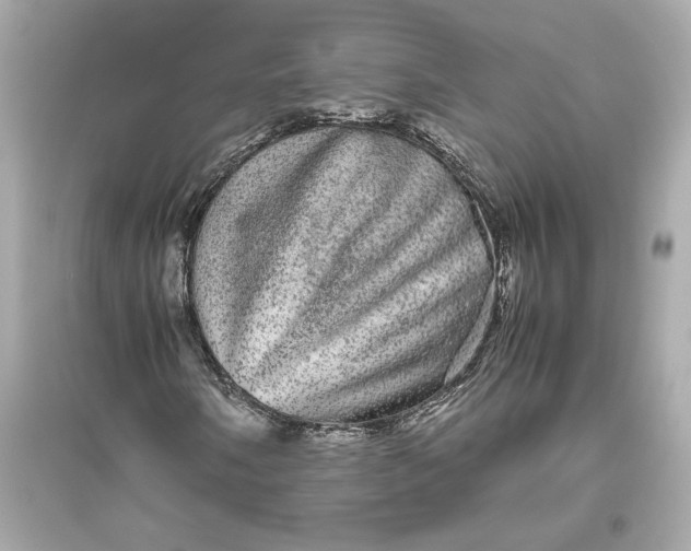 X0000094821058200711301625