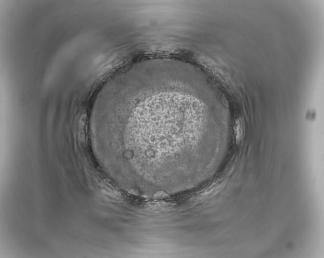 X0000094821059200711301625