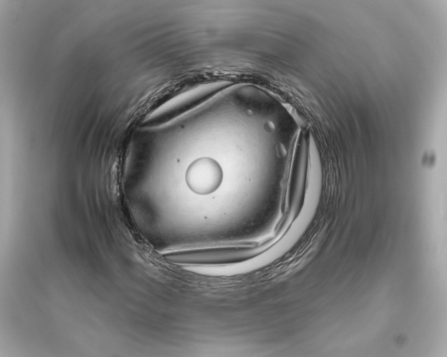 X0000094821060200711301625