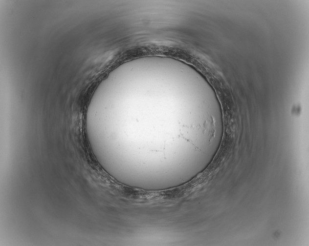 X0000094821061200711301625