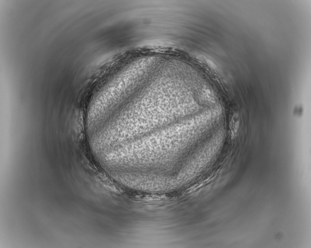 X0000094821062200711301625