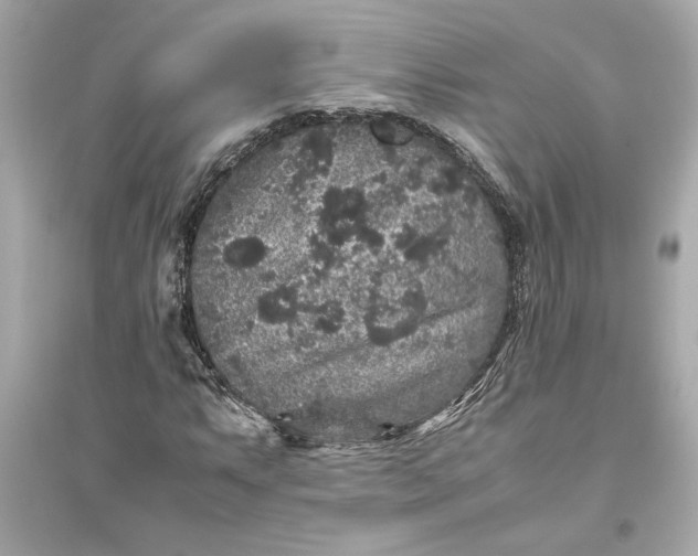 X0000094821063200711301625