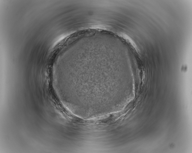 X0000094821064200711301625