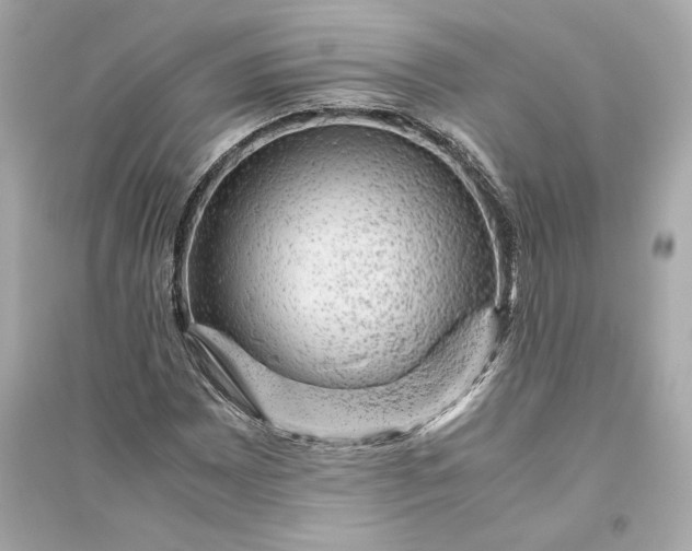 X0000094821065200711301625