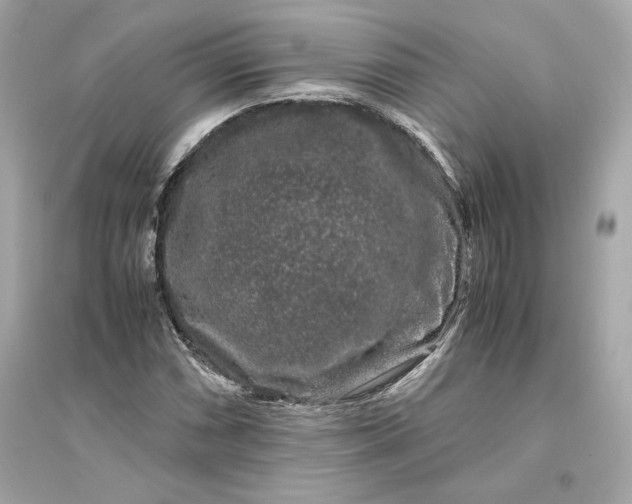 X0000094821066200711301625