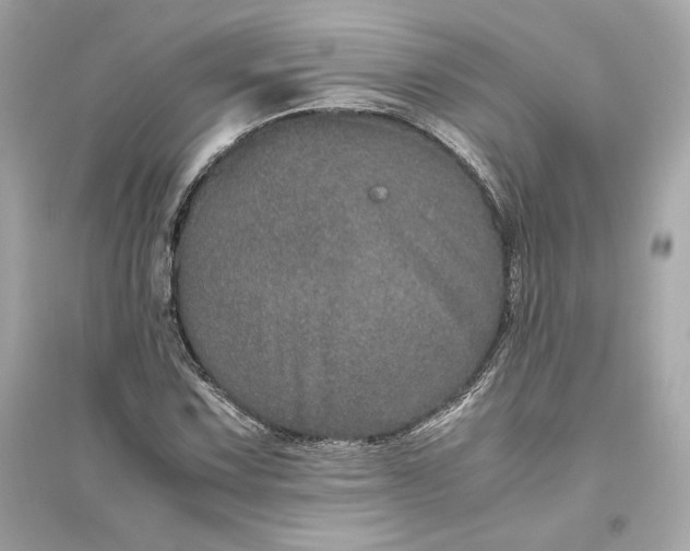 X0000094821067200711301625