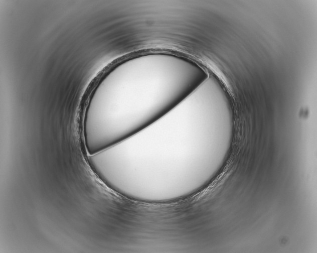 X0000094821068200711301625