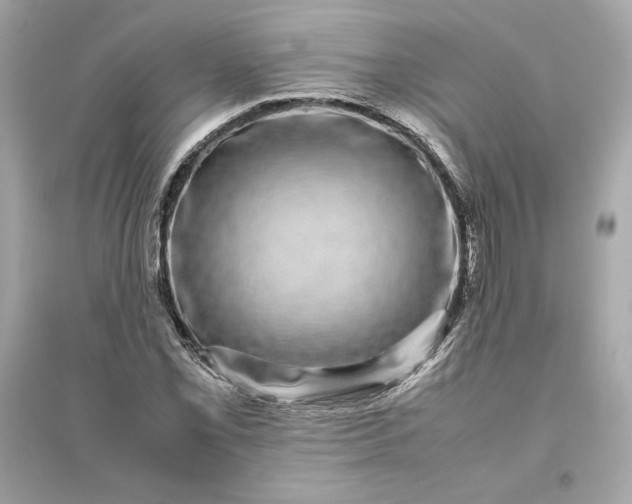 X0000094821069200711301625