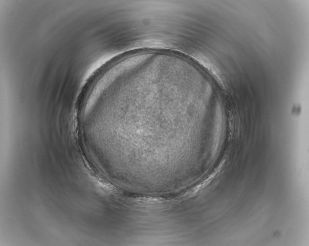 X0000094821070200711301625