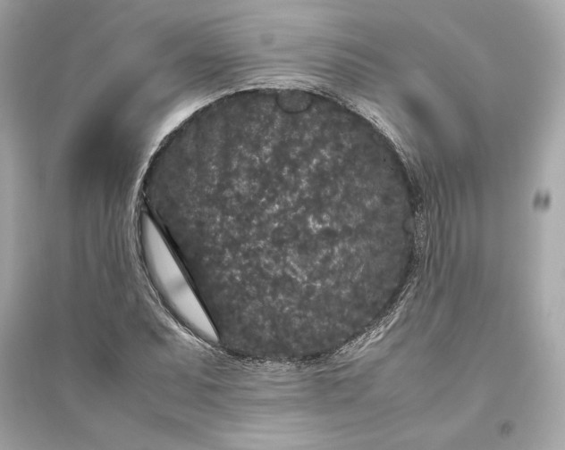 X0000094821071200711301625