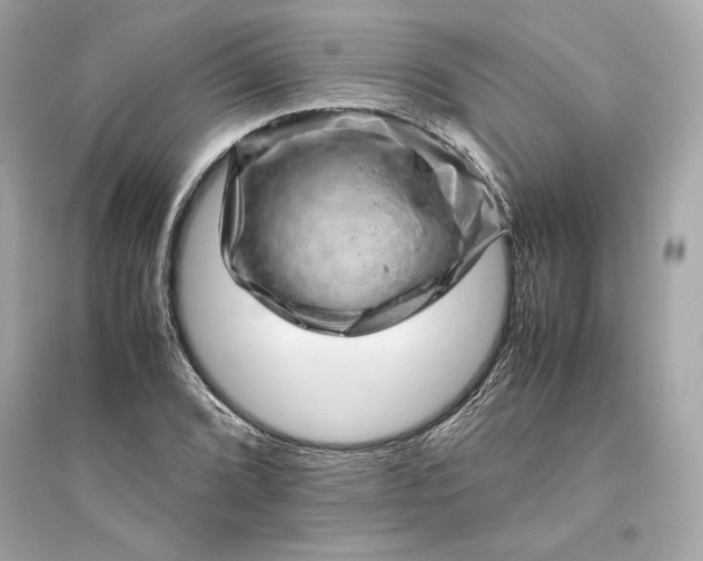 X0000094821072200711301625