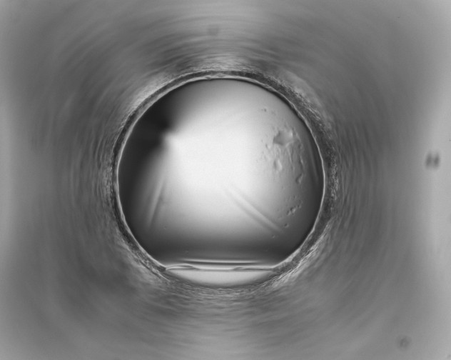 X0000094821073200711301625