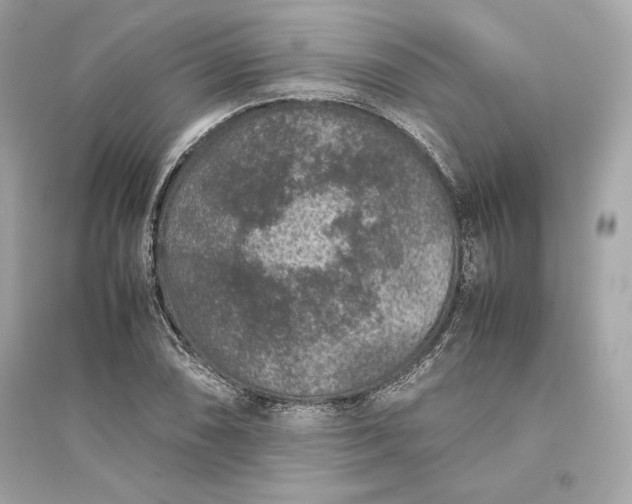 X0000094821074200711301625