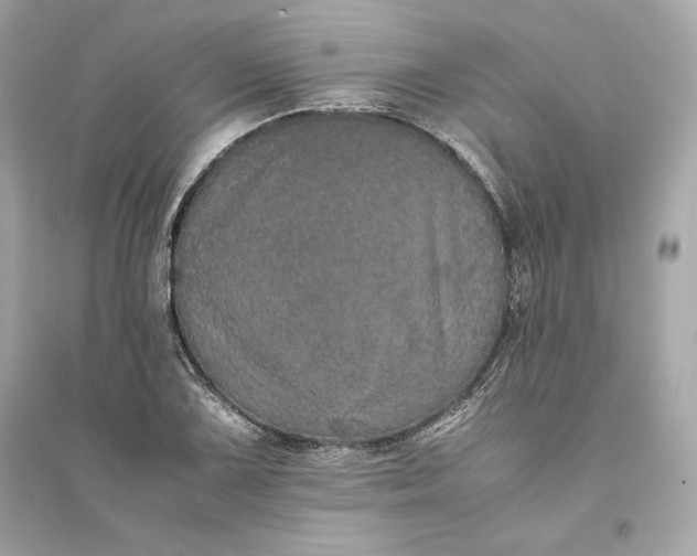 X0000094821075200711301625