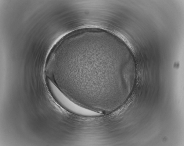 X0000094821076200711301624