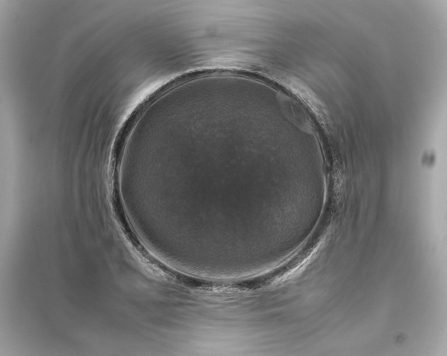 X0000094821077200711301624