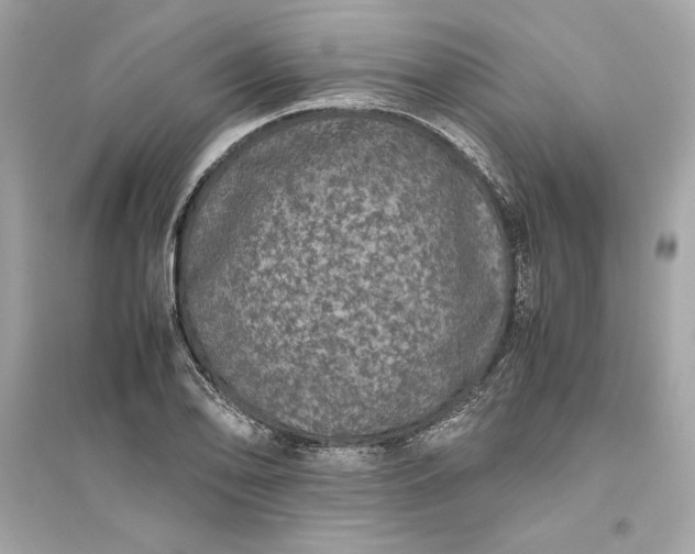 X0000094821078200711301624