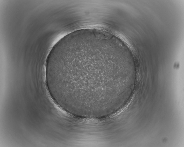 X0000094821079200711301624