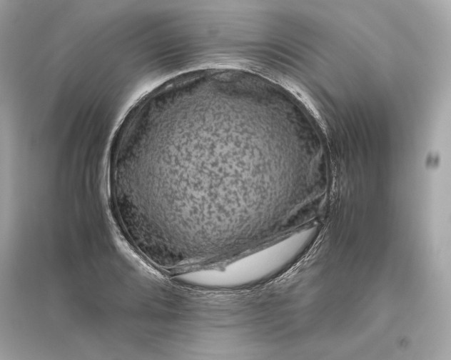 X0000094821080200711301624