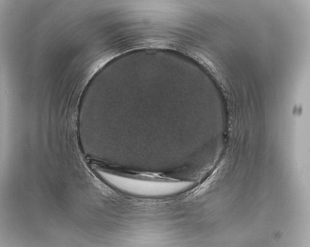 X0000094821081200711301624