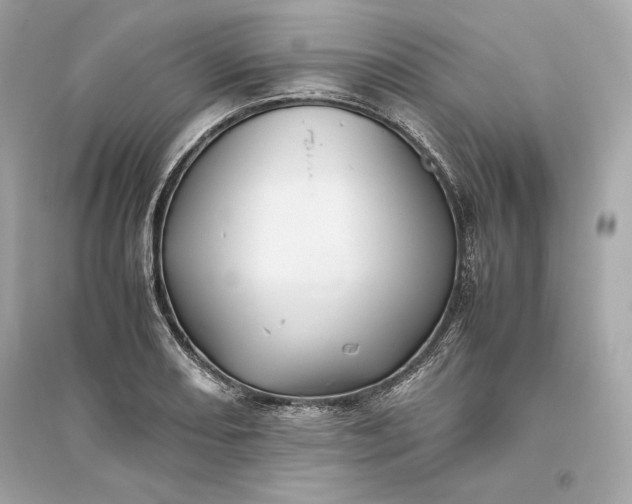 X0000094821082200711301624