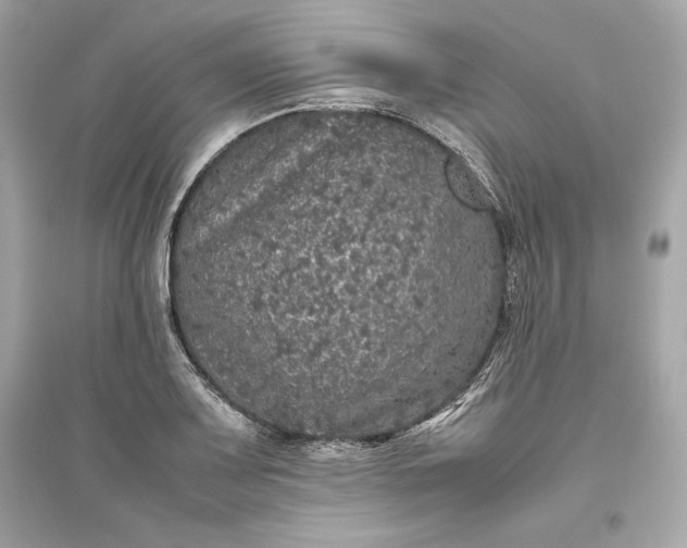 X0000094821083200711301624