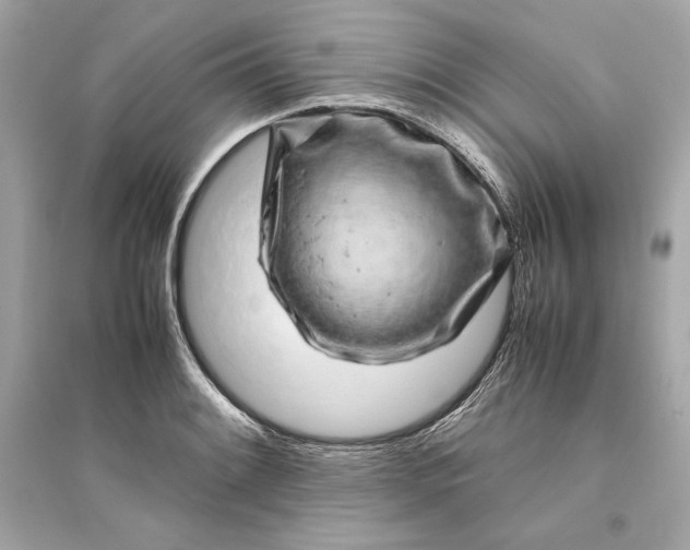 X0000094821084200711301624