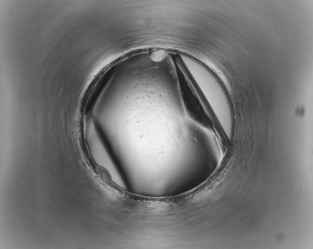 X0000094821085200711301624