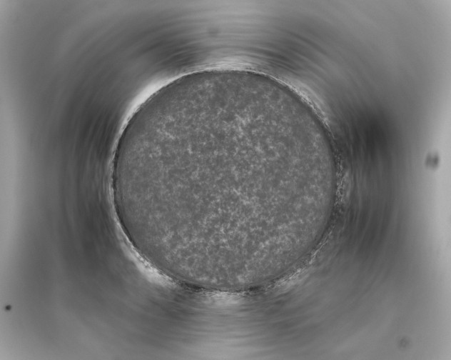 X0000094821086200711301624