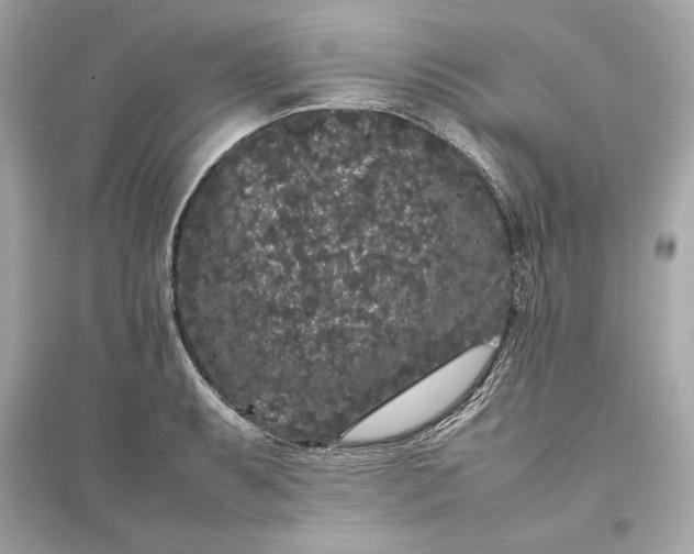 X0000094821087200711301624