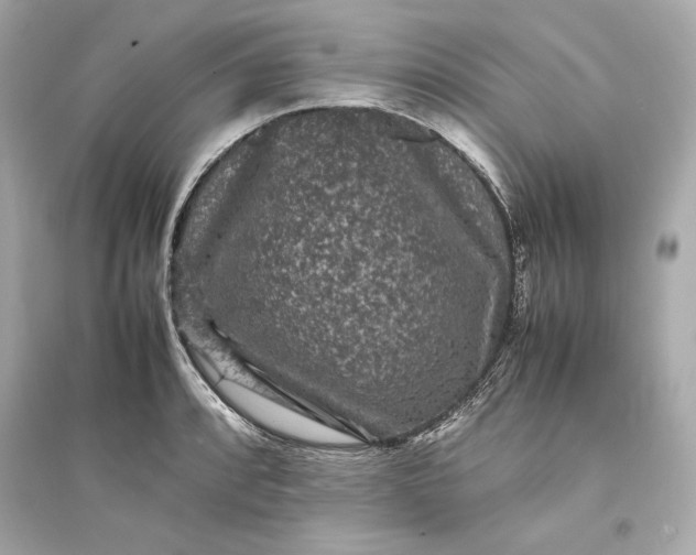 X0000094821088200711301624